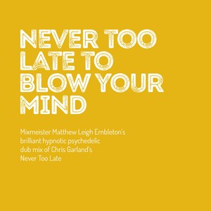 Never Too Late to Blow Your Mind (Dub Mix of Chris Garland's Never Too Late)