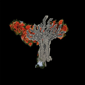 Orange Trees (Explicit)