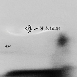 唯一（爱本质无异）-暖树