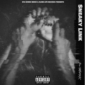 Sneaky Link (Explicit)