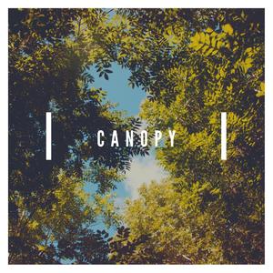 Canopy