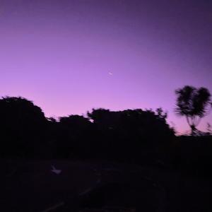 emerald eyes (slowed)