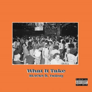 What It Take(feat. Tw2nty) (Explicit)
