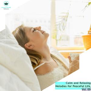 Calm And Relaxing Melodies For Peaceful Life, Vol. 09