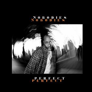 Nobodies Perfect (Explicit)