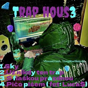 Píčo píšem (feat. Luca$) (Explicit)