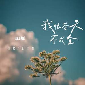 我恨苍天不成全 (DJ版)