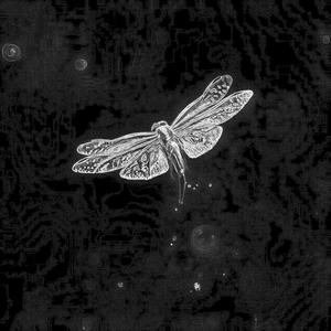 L'étang de la libellule (Explicit)