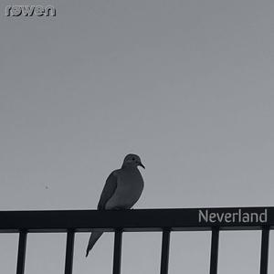 Neverland