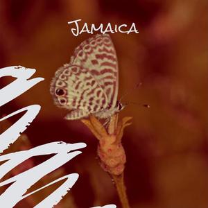 Jamaica