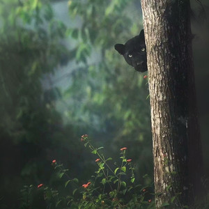 窗外的天气 (DJ版)