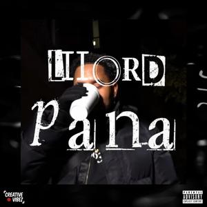 PANA (Explicit)