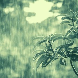 愉悦的学习心目