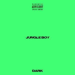 Jungle Boy (Explicit)