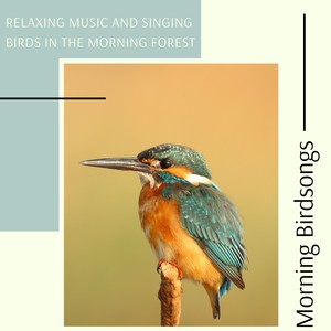 Morning Birdsongs