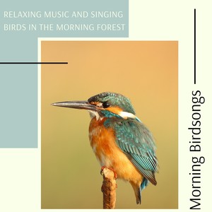 Morning Birdsongs - Relaxing Music and Singing Birds in the Morning Forest