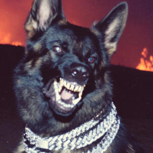 Heaven Hound (Explicit)