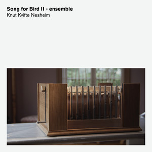 Song for Bird II - ensemble