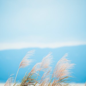 风轻云淡