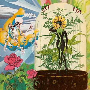 Anne Hathaway (Explicit)