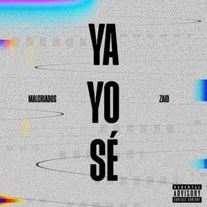 YA YO SÉ (feat. ZaiD) [Explicit]