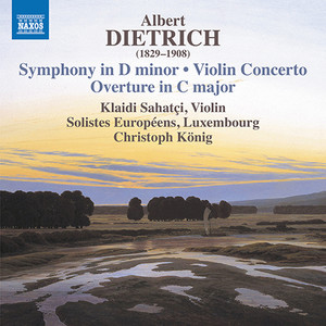 Symphony in D Minor, Op. 20 - Symphony in D Minor, Op. 20: III. Scherzo. Allegro energico - Trio I-II