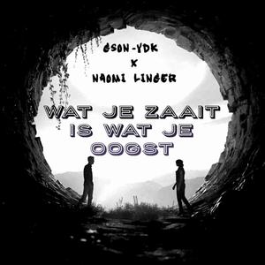 Wat Je Zaait Is Wat Je Oogst (feat. Naomi Linger)