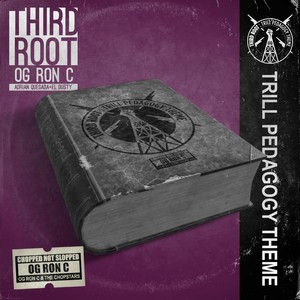 Trill Pedagogy Theme (Chopped Not Slopped) [feat. OG Ron C]