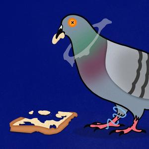 PIGEONS (feat. namebuddha) (Explicit)