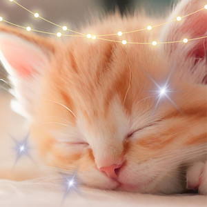 朝焼けの霧の中