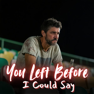 You Left Before I Could Say