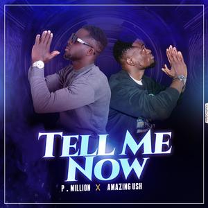 Tell Me Now (feat. AMAZING USH)