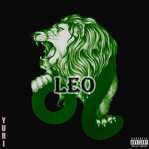 LEO (Explicit)