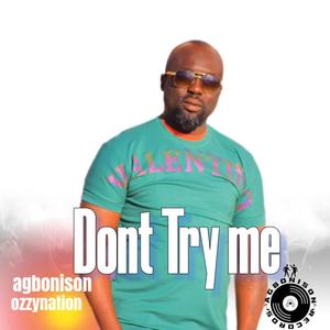 Dont try me (feat. Ozzynation) (Radio Edit)
