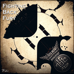 Fighting Back Fury