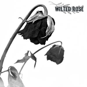 Wilted Rose (Explicit)