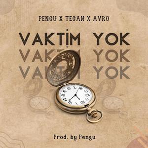 Vaktim Yok (feat. Avro.412 & Tegan)