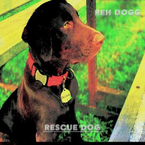 Rescue Dog (Explicit)