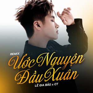 Ước Nguyện Đầu Xuân (Remix)