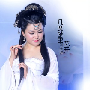 几度梦里花开 (二胡精简版)