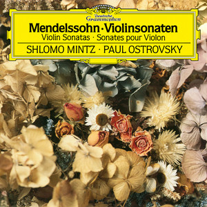 Sonata in F Major for Violin and Piano, MWV Q26 - 3. Assai vivace (F大调小提琴奏鸣曲，MWV Q26 - 第三乐章 非常活泼的)