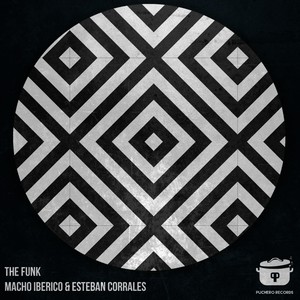 The Funk (Original Mix)