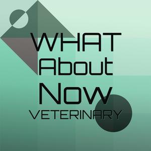 What About Now veterinary