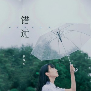 颜梓东 - 错过
