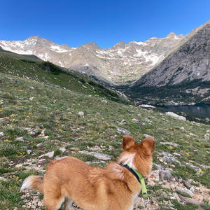 Minnie Sutton (feat. StrangeByrds, Brett Kretzer & Scott Young)