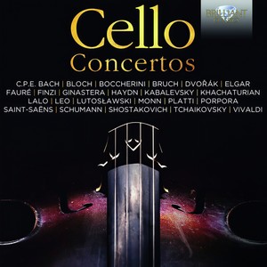 Cello Concerto No. 1 in G Minor, Op. 49 - II. Largo, molto espressivo