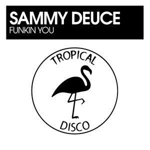 Funkin You (Original Mix)