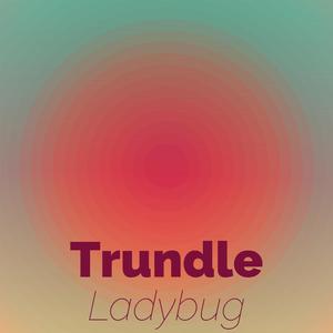 Trundle Ladybug