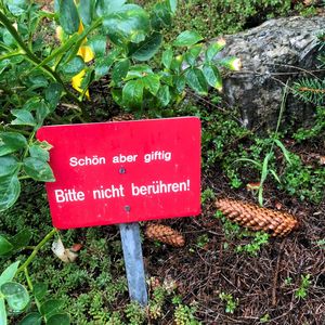 you might end up dead (Explicit)