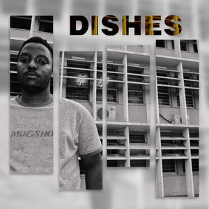 DISHES